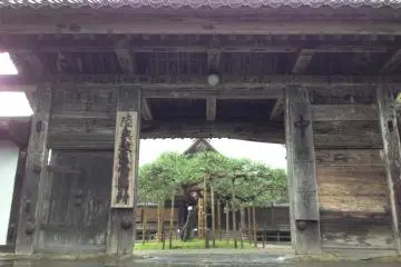 Gallery image