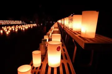 Lights in the Moat at Fukui Castle