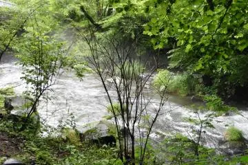 Playing in the Yu River
