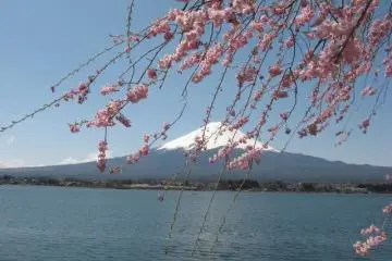 Kawaguchiko