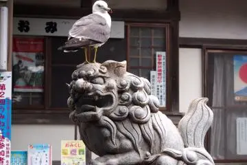 Kabushima Shrine: Seagull Island