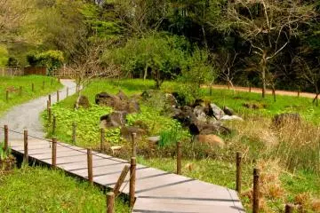 Zama's Hidden Gem - Yatoyama Park 