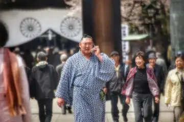 Yasukuni Shrine "Honozumo" Sumo