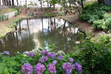 Morioka Castle: Feudal Lord Trail