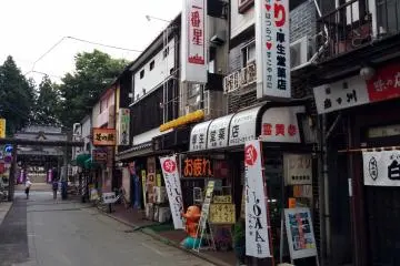 Gallery image