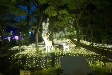 Illuminara: Manyo Botanical Garden