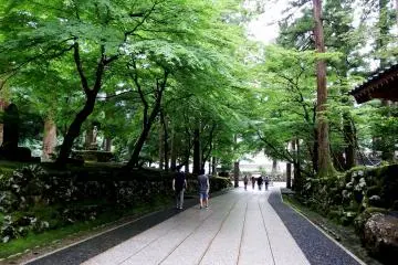 Gallery image