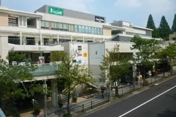 Gallery image