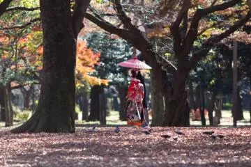 Entertainment at Yoyogi Park