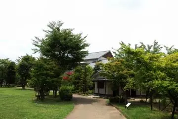 Gallery image
