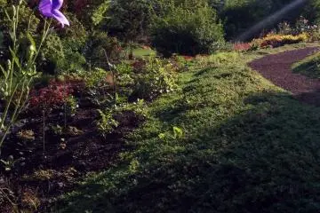 Hachimantai Flowerland