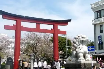 Gallery image