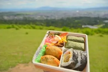 Picnic at Mount Wakakusa 