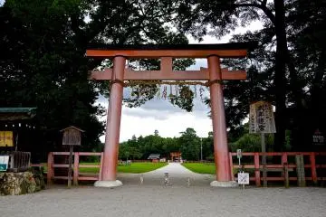 Kamigamo Shrine: A Place of Healing
