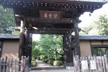 Gallery image
