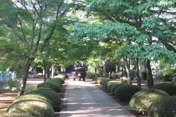 Gallery image