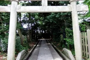 Gallery image