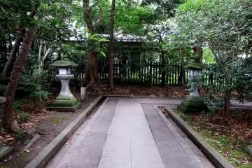 Gallery image