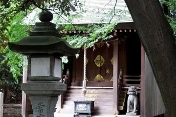 Gallery image