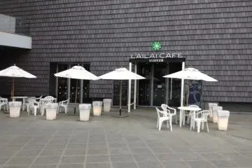 Gallery image