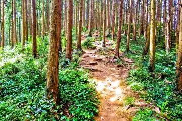 Saitama’s Rural Heart in Ogose City