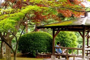 Iwate Kōen, Morioka