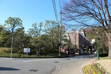 Gallery image