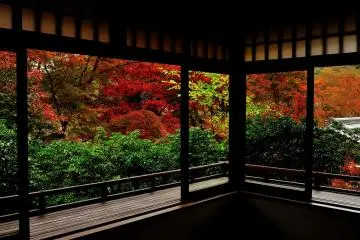 Looking out at the beautiful garden from the second floor of the main building. Heavenly view of the autumn garden left me speechless. This is what you call, 'moment of bliss' (Photo: MASAYOSHI HIROSE)