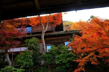 Looking up at the main building from the 'Garden of Garyo' (Lying Dragon). Elegant, intricate architecture built by the hands of seasoned artisans. This classic 'Sukiya-zukuri' building that stands on the vast temple grounds was built by the Sukiya-zukuri maestro, Nakamura&nbsp; Sotoji (1906-1977) (Photo: MASAYOSHI HIROSE)