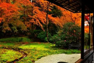 Depending on the light, they say that the moss here may shine. Although I've never witnessed the moment, when I saw this garden I thought it might not be an exaggeration &nbsp; (Photo: MASAYOSHI HIROSE)