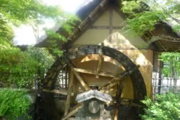 Gallery image