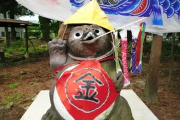 Smiling Raccoon Dogs