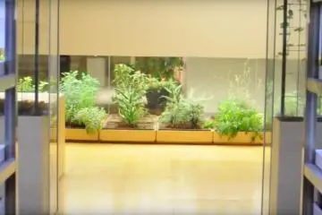 Greenest Building in Tokyo 
