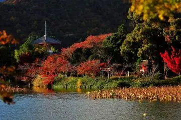 Shingyo-Hoto viewed over Hojo-chi Pond, the smaller pond located on the north side of Osawa-no-ike Pond (Photo: MASAYOSHI HIROSE)