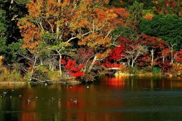 Brilliant red of Tenjin Island Bridge over the pond (Photo: MASAYOSHI HIROSE)