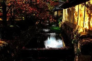 Arisugawa River flows around the temple. Photographers try hard to capture the shot of the river with the setting sun and fallen leaves in the stream (Photo: MASAYOSHI HIROSE)