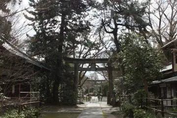 Gallery image