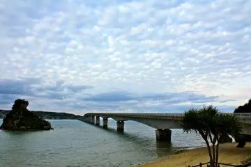 Kouri bridge (Photo: Jessica Griffith)