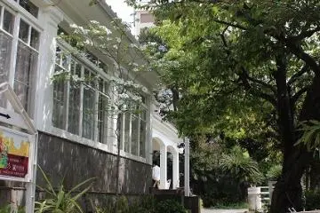 Gallery image
