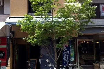 Sova Sova Restaurant