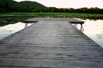 Summer Evening at Osawa Pond
