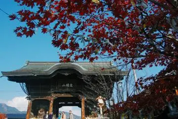 Gallery image
