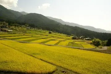 Makido Tanada (Photo: <a href="https://www.facebook.com/kashimoru" target="_blank" rel="noreferrer noopener nofollow">Kashimo Government Branch Office</a>)