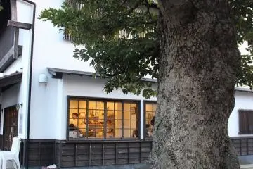Gallery image