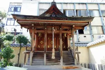 Gallery image
