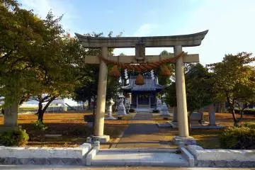 Gallery image