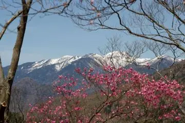 Lake Chuzenji to Akechidaira Hike