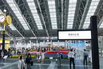 Gallery image