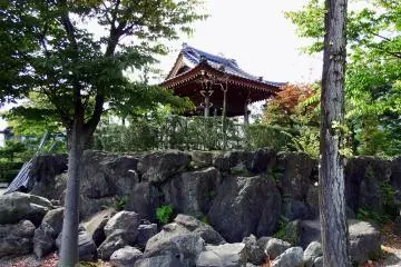 Gallery image