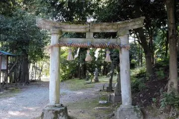 Gallery image